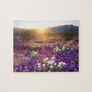 USA, California, Anza-Borrego Desert State Park. 2 Jigsaw Puzzle
