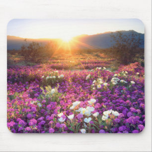 USA, California, Anza-Borrego Desert State Park. 2 Mouse Mat