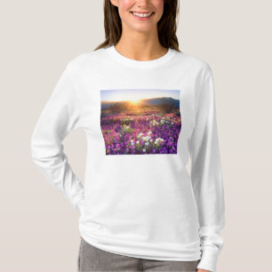 USA, California, Anza-Borrego Desert State Park. 2 T-Shirt