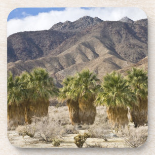 USA, California, Anza-Borrego Desert State Park. Coaster