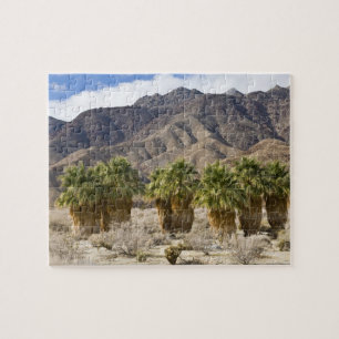 USA, California, Anza-Borrego Desert State Park. Jigsaw Puzzle