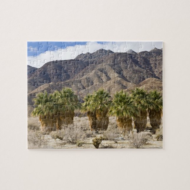 USA, California, Anza-Borrego Desert State Park. Jigsaw Puzzle (Horizontal)