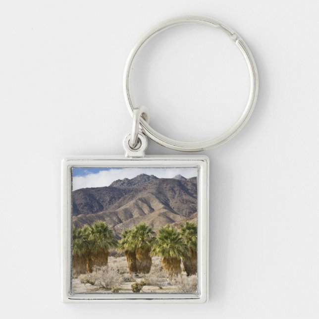 USA, California, Anza-Borrego Desert State Park. Key Ring (Front)