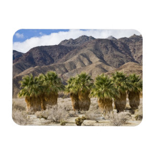 USA, California, Anza-Borrego Desert State Park. Magnet