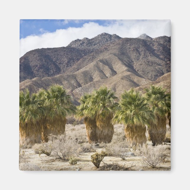 USA, California, Anza-Borrego Desert State Park. Magnet (Front)