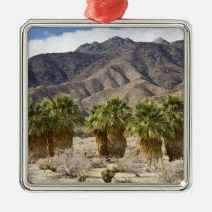USA, California, Anza-Borrego Desert State Park. Metal Tree Decoration