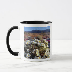 USA, California, Anza-Borrego DSP. Dune evening 2 Mug