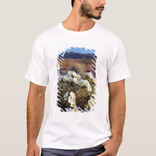 USA, California, Anza-Borrego DSP. Dune evening 2 T-Shirt