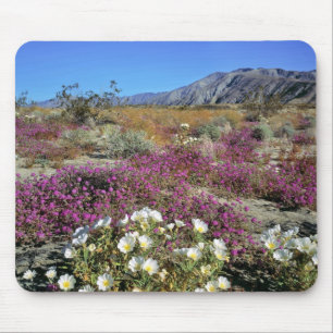 USA, California, Anza-Borrego DSP. Dune evening Mouse Mat