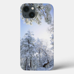 USA, California, Cleveland National Forest, iPhone 13 Case