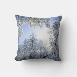 USA, California, Cleveland National Forest, Cushion