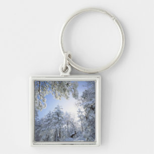 USA, California, Cleveland National Forest, Key Ring