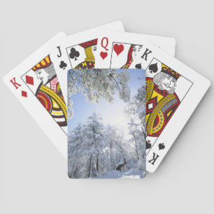 USA, California, Cleveland National Forest, Playing Cards