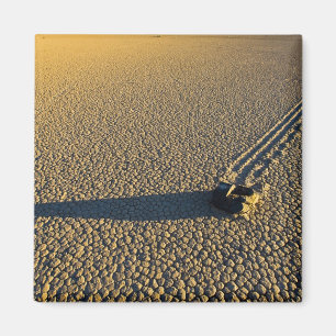 USA, California, Death Valley National Park. 2 Magnet
