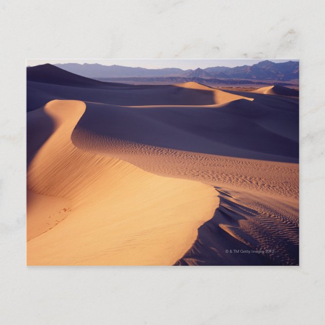 USA, California, Death Valley, sand dunes, dawn Postcard (Front)
