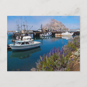 USA, California. Docked Boats At Morro Bay Postcard