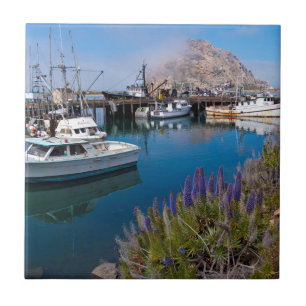USA, California. Docked Boats At Morro Bay Tile