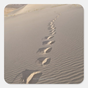 USA, California, Footprints of desert dune Square Sticker