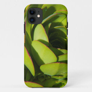 USA, California. Giant Lobelia Plant Close Up iPhone 11 Case