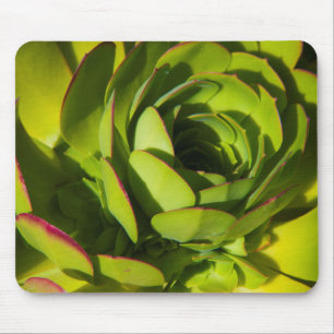 USA, California. Giant Lobelia Plant Close Up Mouse Mat