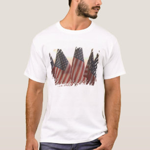 USA, California, Gold Country, Amador City: T-Shirt