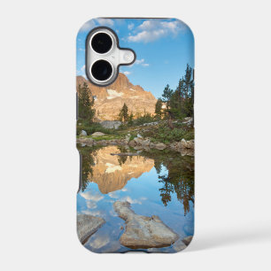 USA, California, Inyo National Forest. 2