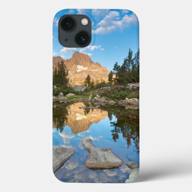 USA, California, Inyo National Forest. 2 Case-Mate iPhone Case (Back)