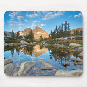 USA, California, Inyo National Forest. 2 Mouse Mat