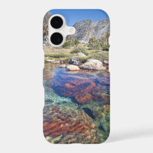 USA, California, Inyo National Forest 4