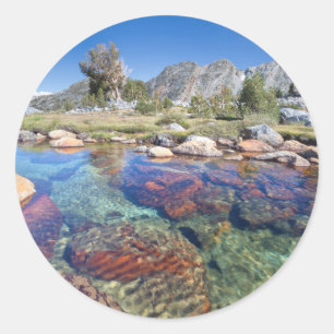 USA, California, Inyo National Forest 4 Classic Round Sticker