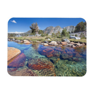 USA, California, Inyo National Forest 4 Magnet