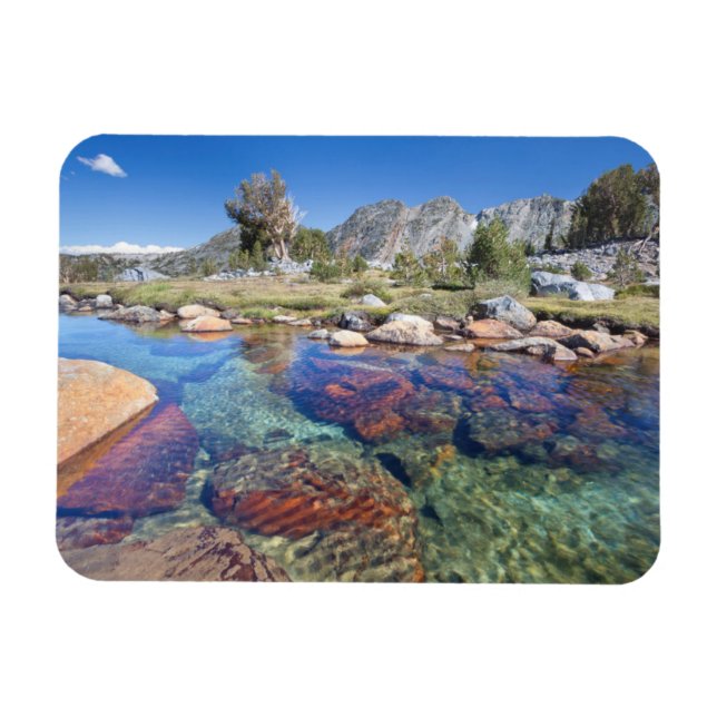 USA, California, Inyo National Forest 4 Magnet (Horizontal)