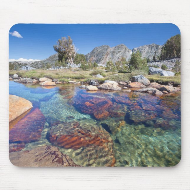 USA, California, Inyo National Forest 4 Mouse Mat (Front)
