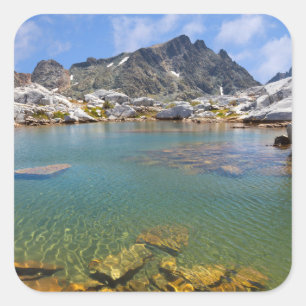 USA, California, Inyo National Forest 8 Square Sticker