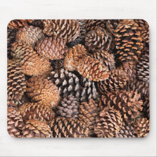 USA, California, Inyo National Forest Mouse Mat