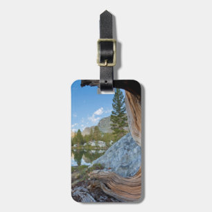 USA, California, Inyo National Forest. Old Pine Luggage Tag