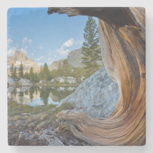 USA, California, Inyo National Forest. Old Pine Stone Coaster