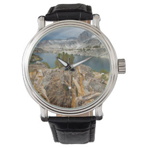 USA, California, Inyo National Forest. Watch