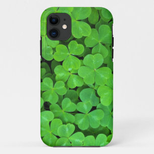 USA, California, Jedediah Smith Rewood SP. iPhone 11 Case