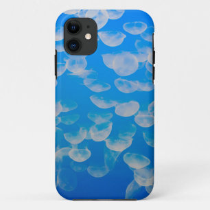 USA, California. Jellyfish In The Monterey Bay iPhone 11 Case