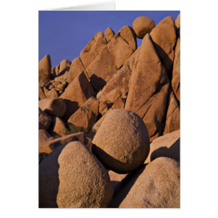 USA, California, Joshua Tree National Park.