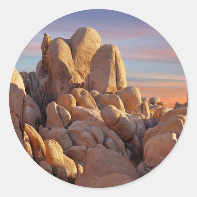 USA, California, Joshua Tree National Park Classic Round Sticker (Front)