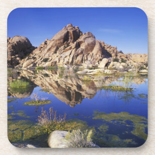 USA, California, Joshua Tree National Park, Coaster