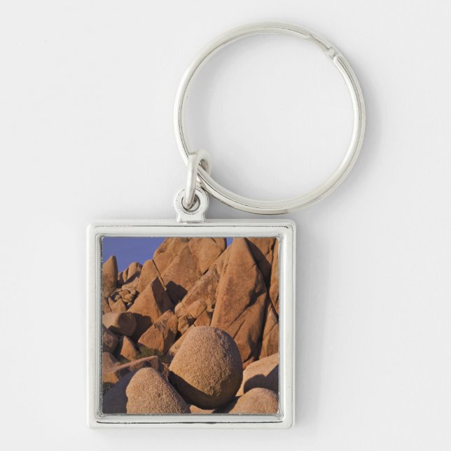 USA, California, Joshua Tree National Park. Key Ring (Front)