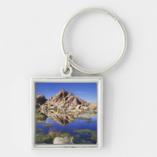 USA, California, Joshua Tree National Park, Key Ring