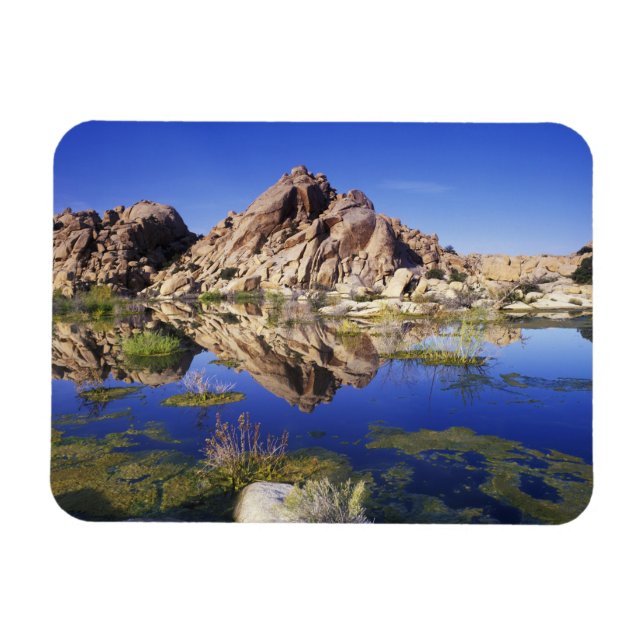 USA, California, Joshua Tree National Park, Magnet (Horizontal)