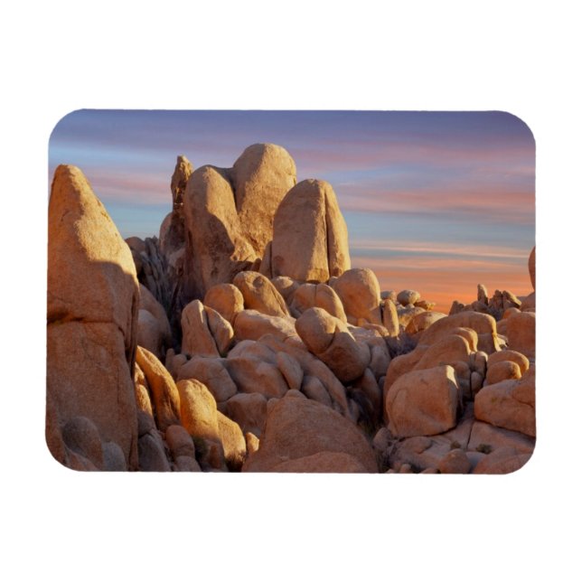 USA, California, Joshua Tree National Park Magnet (Horizontal)