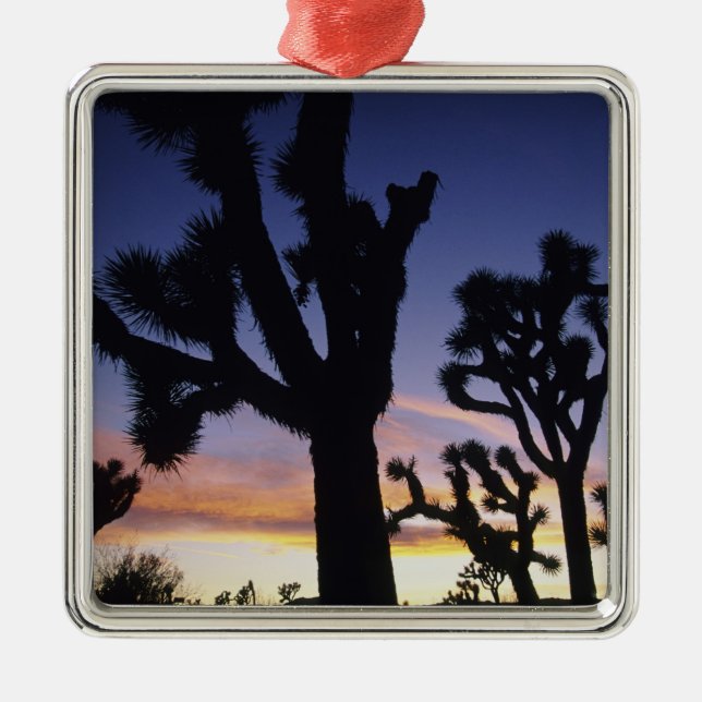 USA, California, Joshua Tree National Park, Metal Tree Decoration (Front)