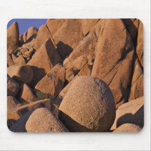 USA, California, Joshua Tree National Park. Mouse Mat