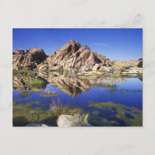 USA, California, Joshua Tree National Park, Postcard